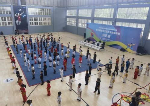 体育学院承办2023年武禹体育文化首届武术比赛